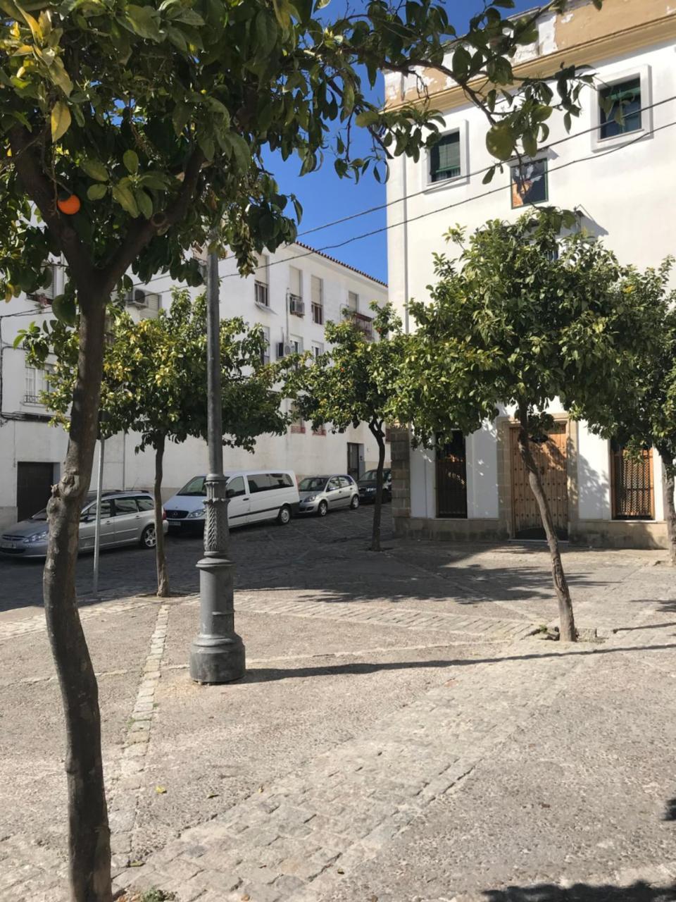 Apartamento !!Vive Jerez!! เฮเรซ เด ลาฟรอนเตรา ภายนอก รูปภาพ